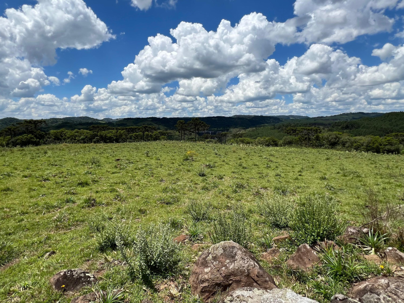 Área de 306 Hectares em Cazuza Ferreira