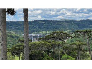 Área de 306 Hectares em Cazuza Ferreira
