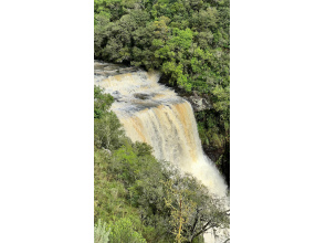 Área de 91 Hectares em Vacaria