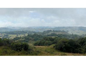Fazenda com 400 Hectares em Caxias do Sul