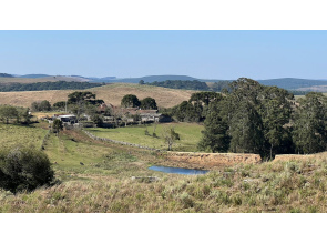 Fazenda com 223 Hectares em São Francisco de Paula