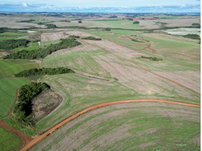 103 Hectares em Muitos Capões