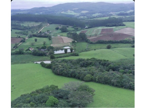 82 Hectares próximo a Porto Alegre 