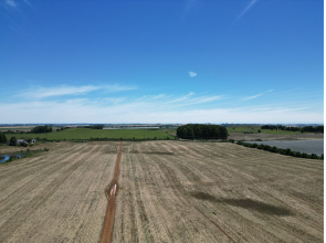 Área com 53 Hectares em Vacaria