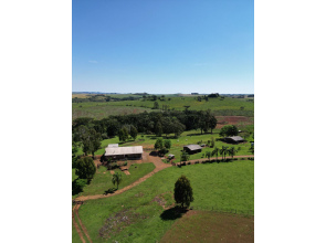 Cabanha com 61 Hectares em Muitos Capões