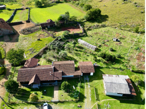 Fazenda com 277 Hectares em São Francisco de Paula