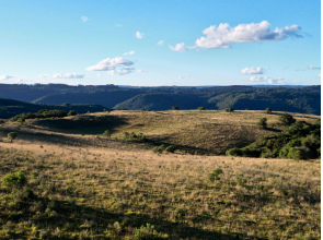 Área de 450 Hectares em Jaquirana