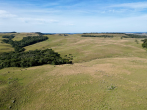 Fazenda com 425 Hectares em Caxias do Sul