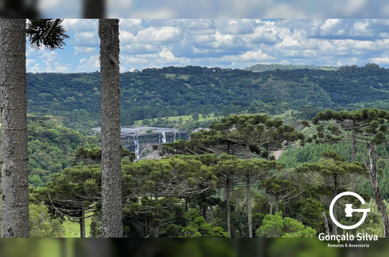 Área de 306 Hectares em Cazuza Ferreira