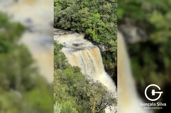 Área de 91 Hectares em Vacaria