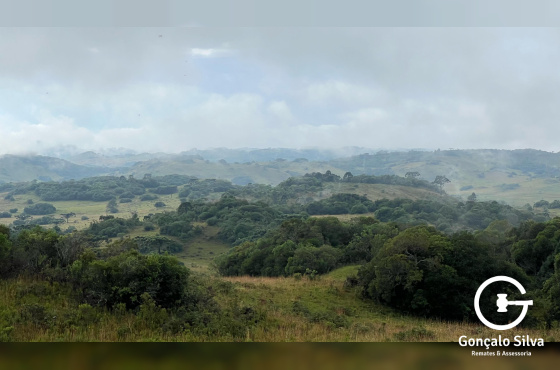 Fazenda com 400 Hectares em Caxias do Sul