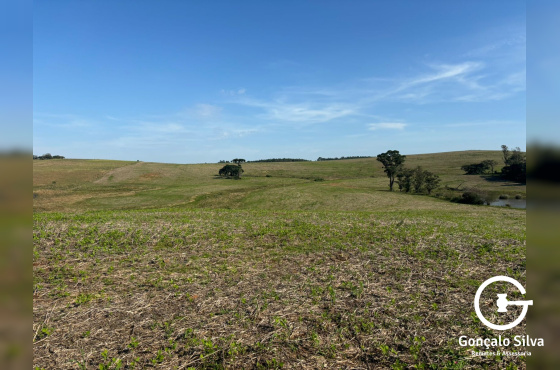 134 Hectares em Glorinha/Rs