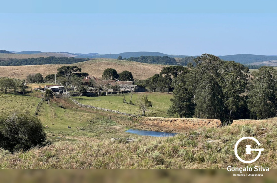 Fazenda com 223 Hectares em São Francisco de Paula