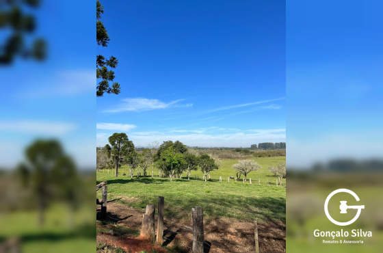 Sítio com 42 Hectares em Campo Bom