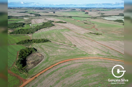 103 Hectares em Muitos Capões