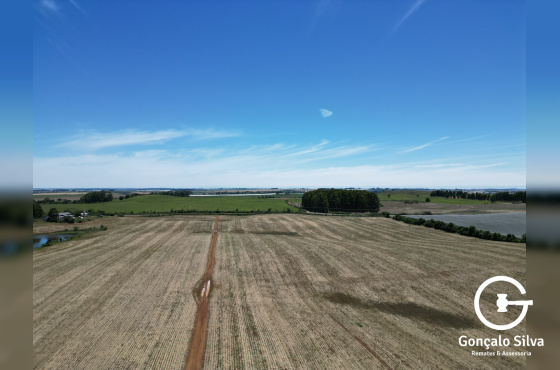 Área com 53 Hectares em Vacaria
