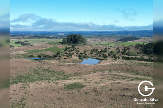 Área Rural com 535 Hectares em Santa Catarina.