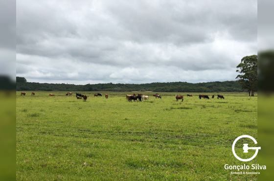 180 Hectares em Glorinha/Rs