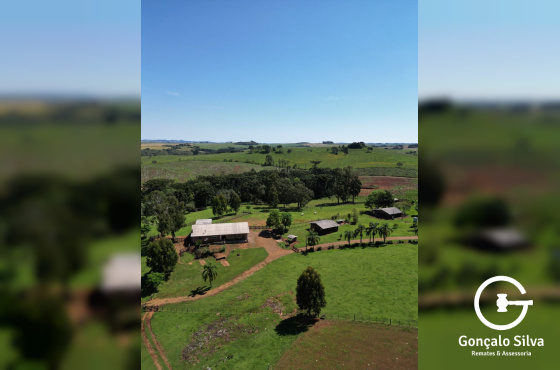 Cabanha com 61 Hectares em Muitos Capões