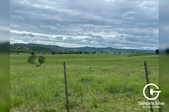 600 hectares em Pantano Grande/RS