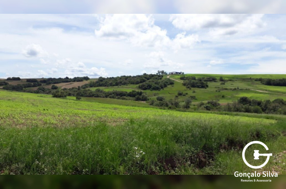 903 Hectares em Piratini/Rs