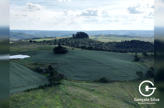 Fazenda com 1.590 Hectares em Santa Catarina