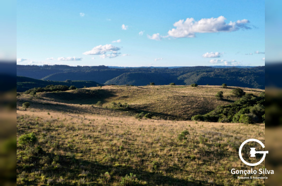 Área de 450 Hectares em Jaquirana