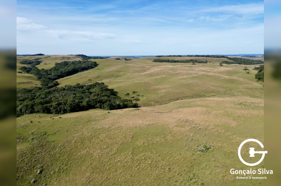 Fazenda com 425 Hectares em Caxias do Sul