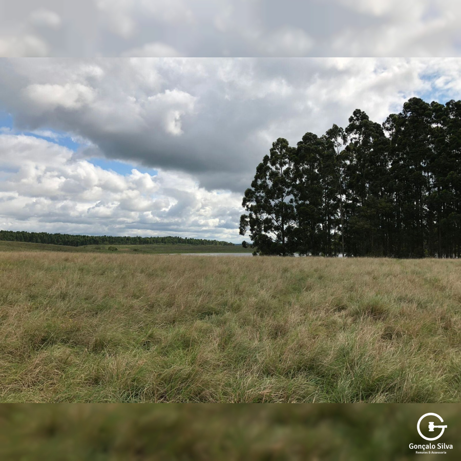372 Hectares em Rio Grande/Rs
