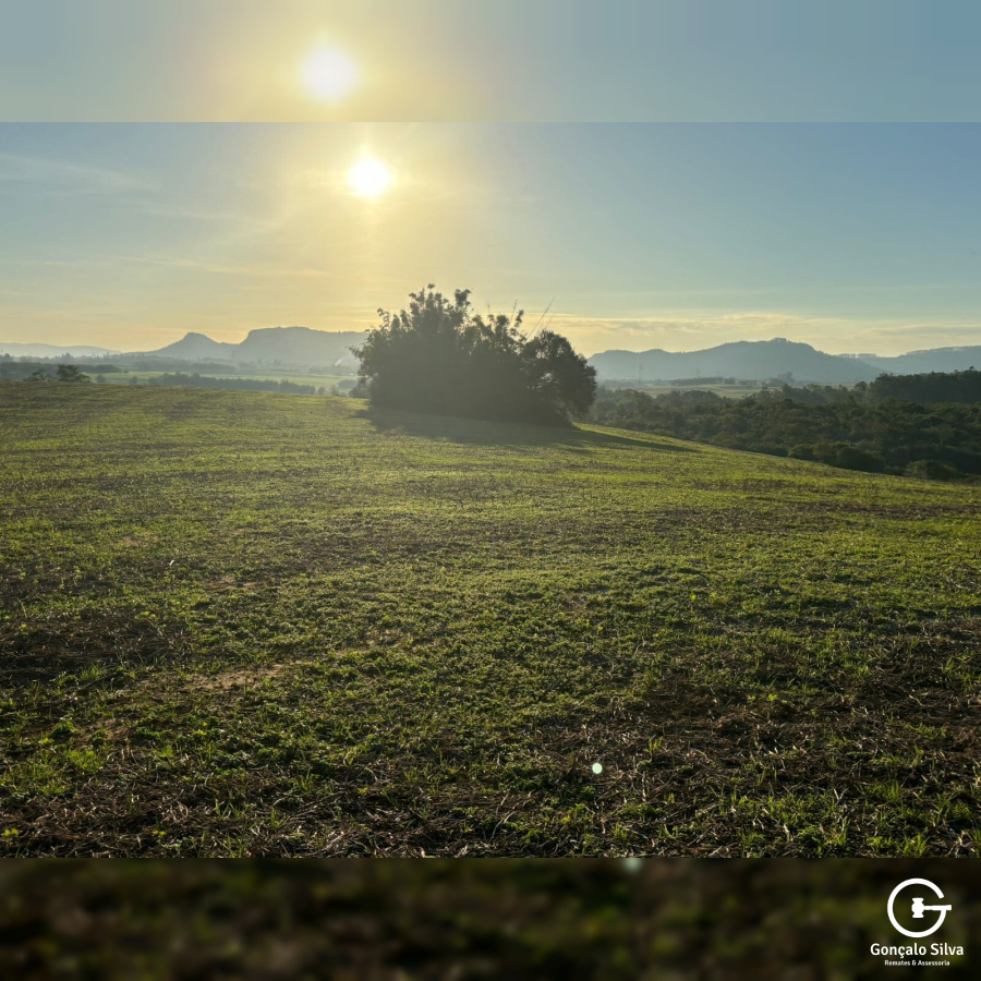 140 Hectares em Glorinha/Rs