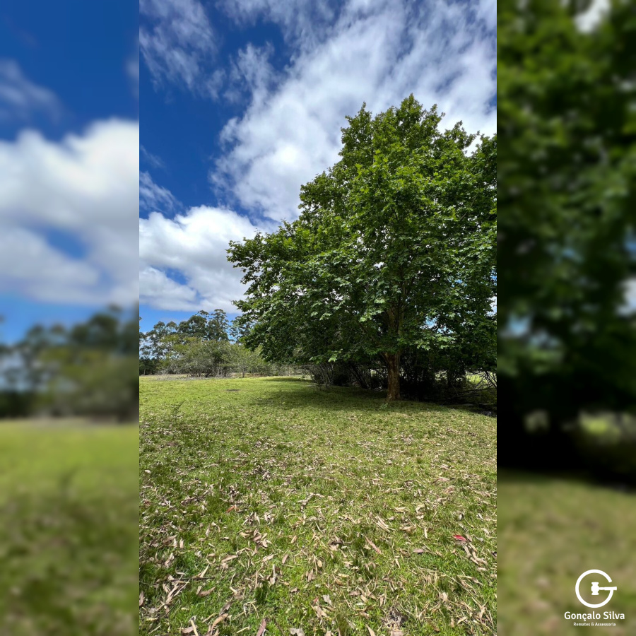 Área para Cabanha ou Centro de Treinamento