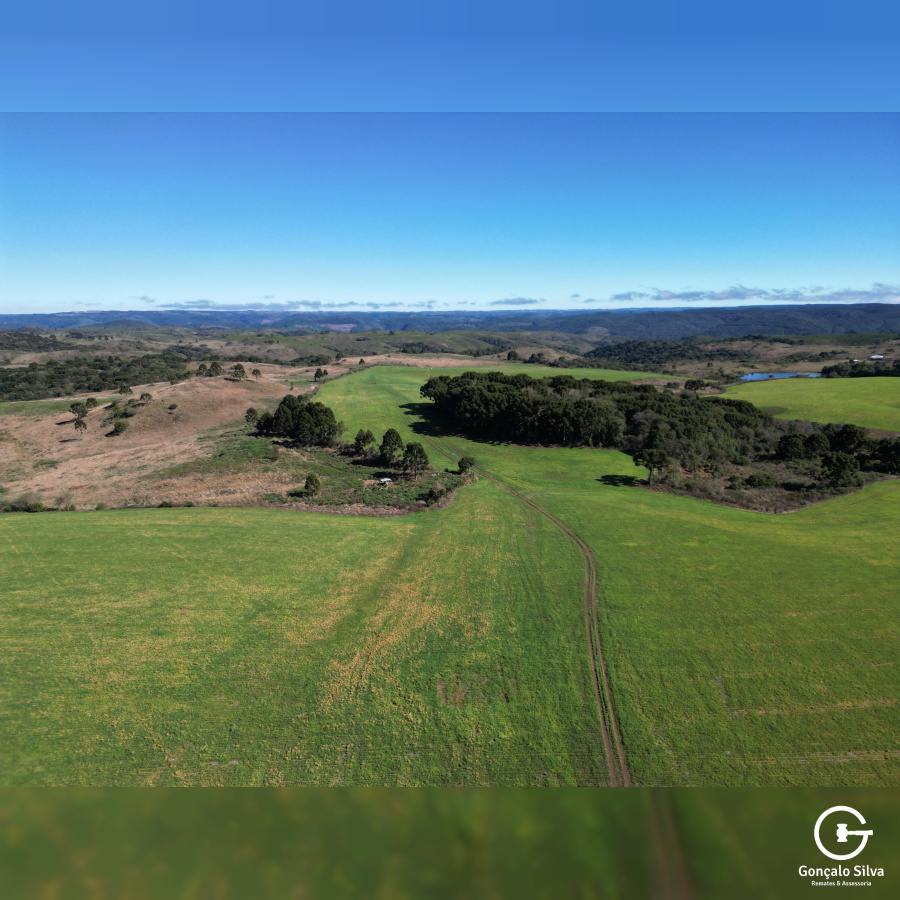 Área Rural com 535 Hectares em Santa Catarina.