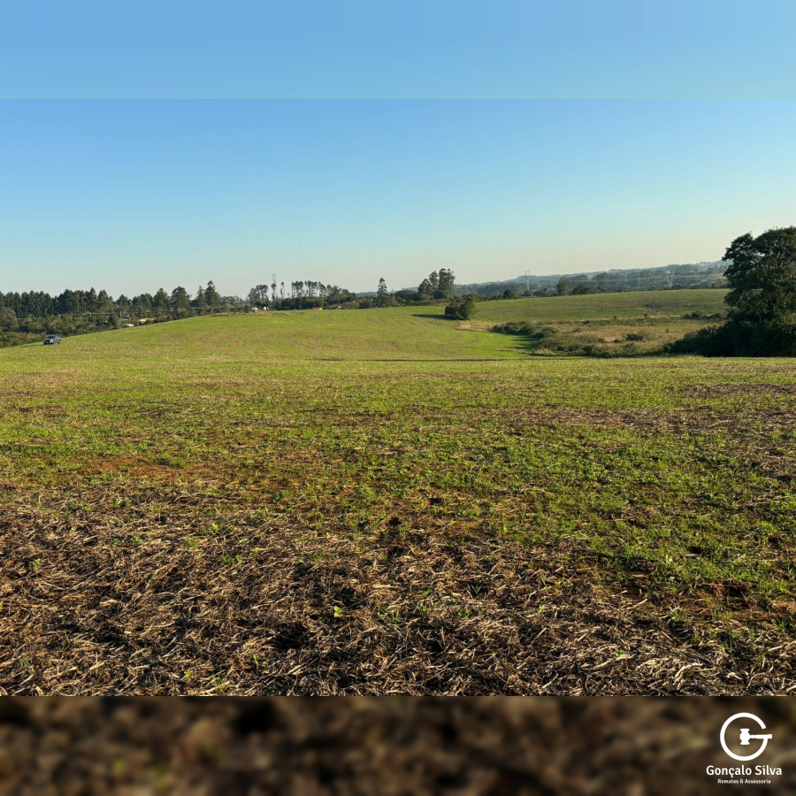 600 Hectares em Pinheiro Machado/Rs