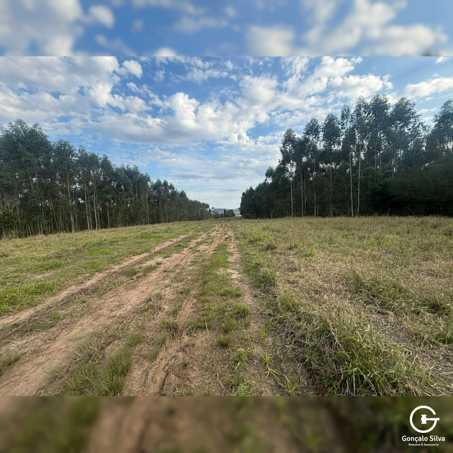 56,33 Hectares na Barra do Ribeiro/Rs
