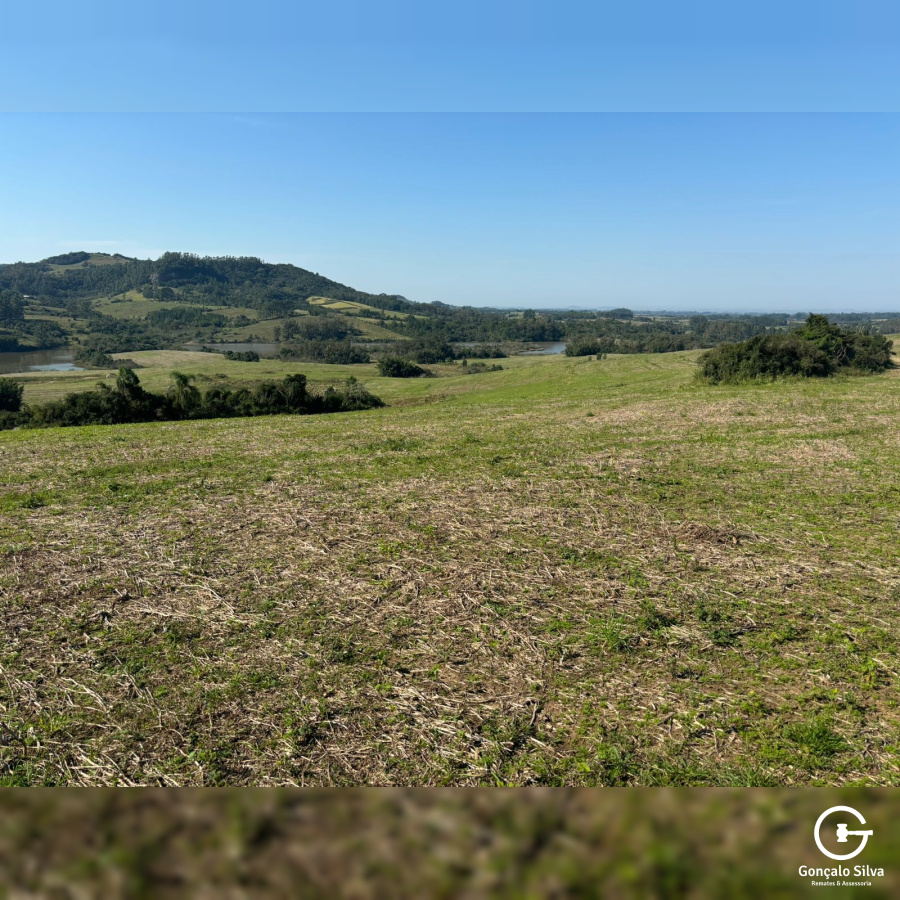 134 Hectares em Glorinha/Rs