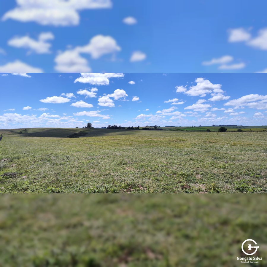 320 Hectares em Aceguá/Rs