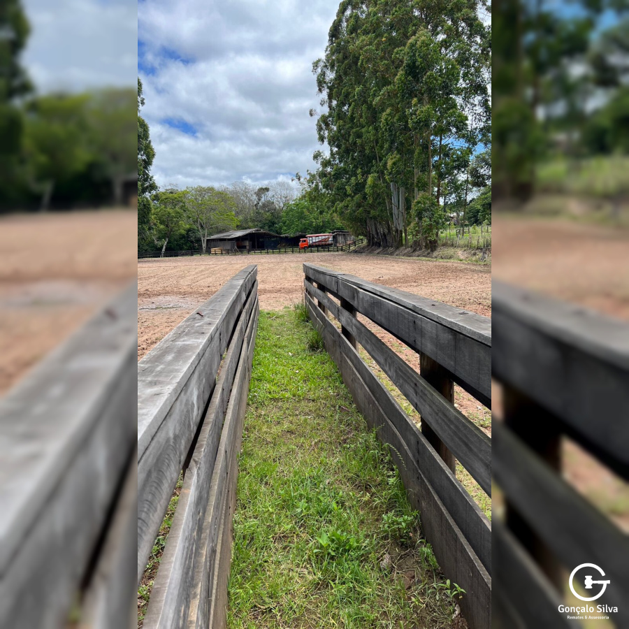 Área para Cabanha ou Centro de Treinamento