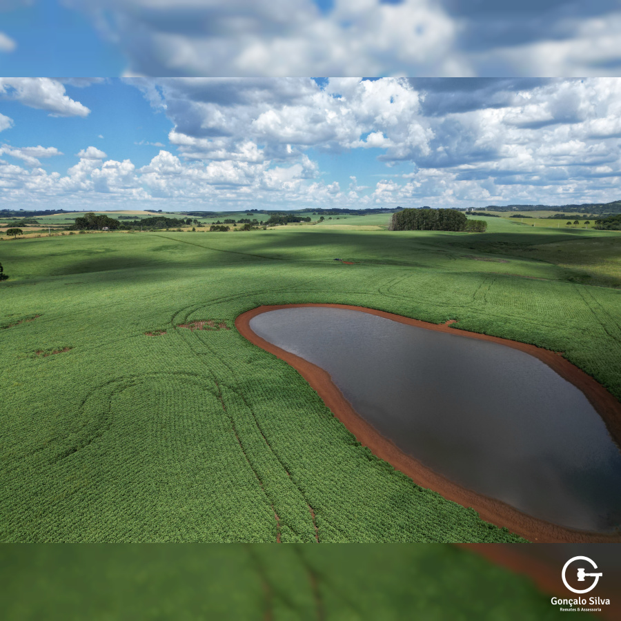 Fazenda de 166 Hectares em Muitos Capões