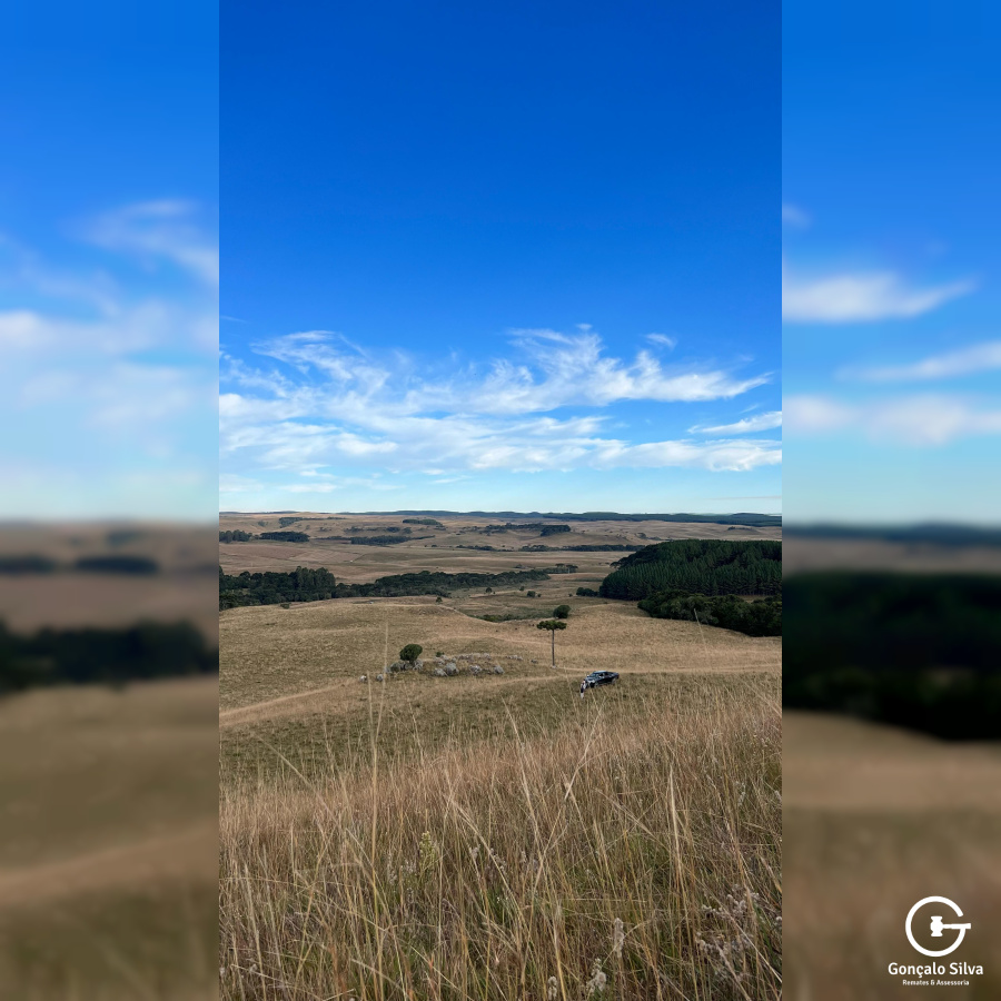 Fazenda com 211 Hectares em Jaquirana