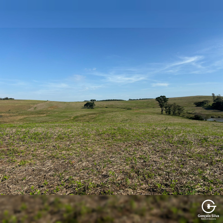 134 Hectares em Glorinha/Rs