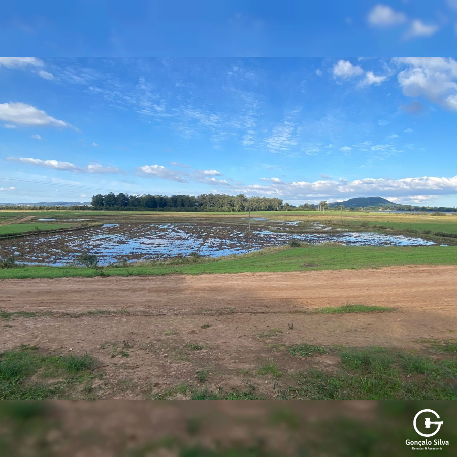 Fazenda em Eldorado do Sul - 148 hectares