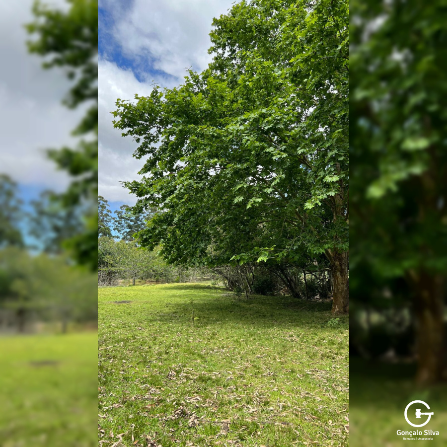 Área para Cabanha ou Centro de Treinamento