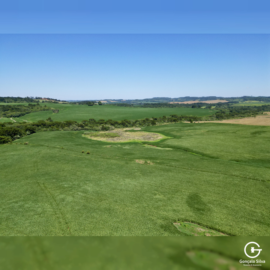 Fazenda com 93 Hectares em Muitos Capões