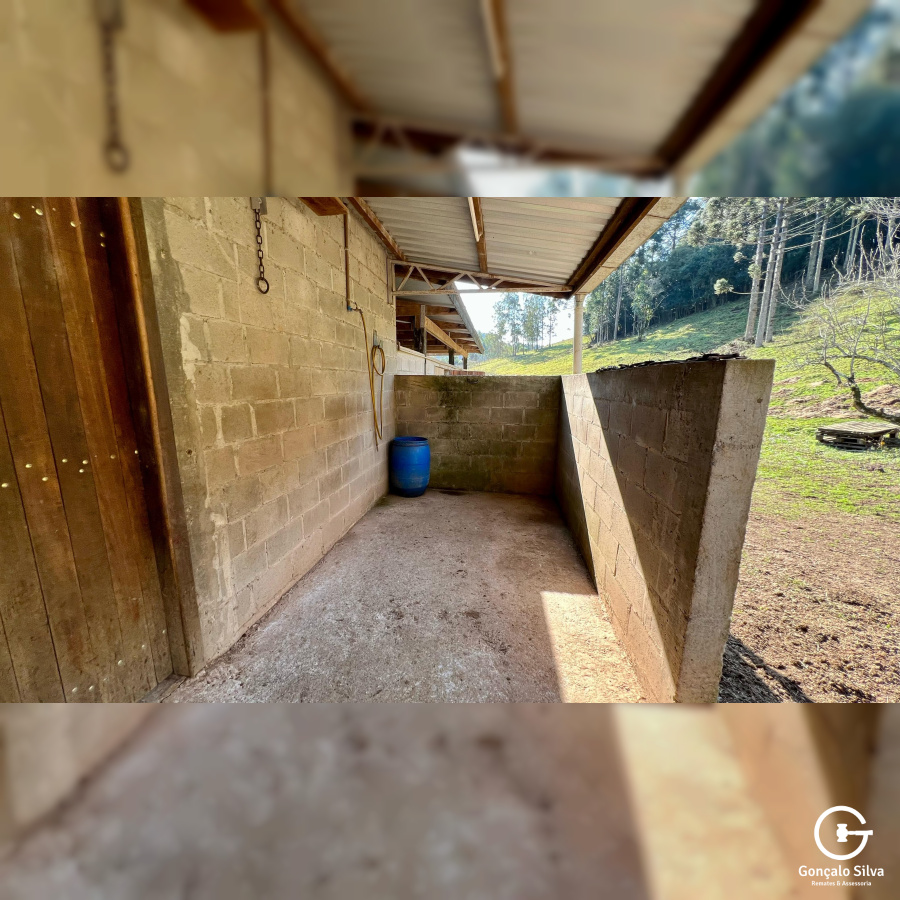 Propriedade Rural com 24 Hectares na Serra Gaúcha