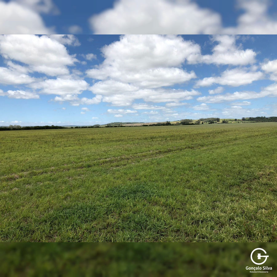 180 Hectares em Glorinha/Rs