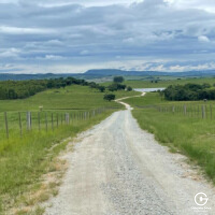 600 hectares em Pantano Grande/RS