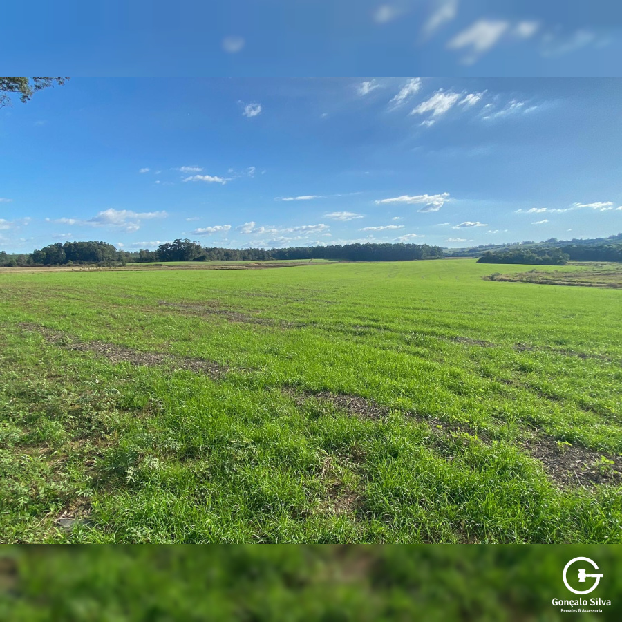 Fazenda em Eldorado do Sul - 148 hectares