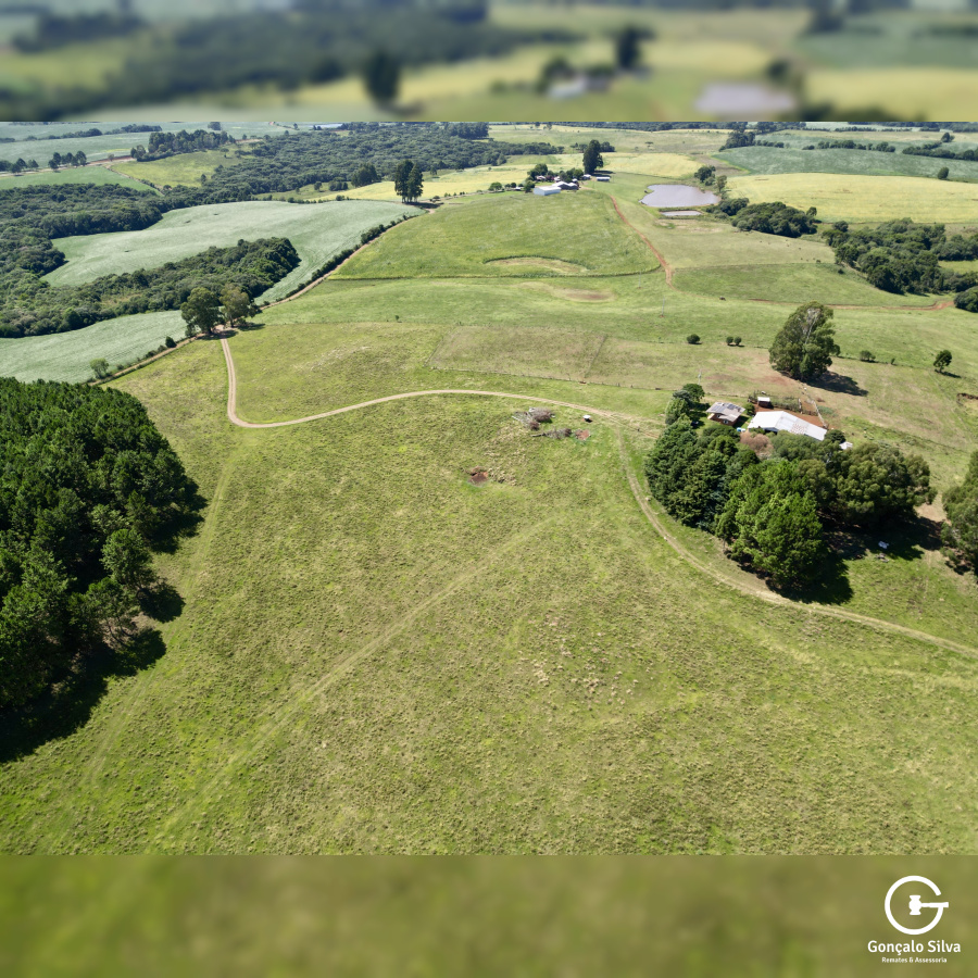 Fazenda com 93 Hectares em Muitos Capões