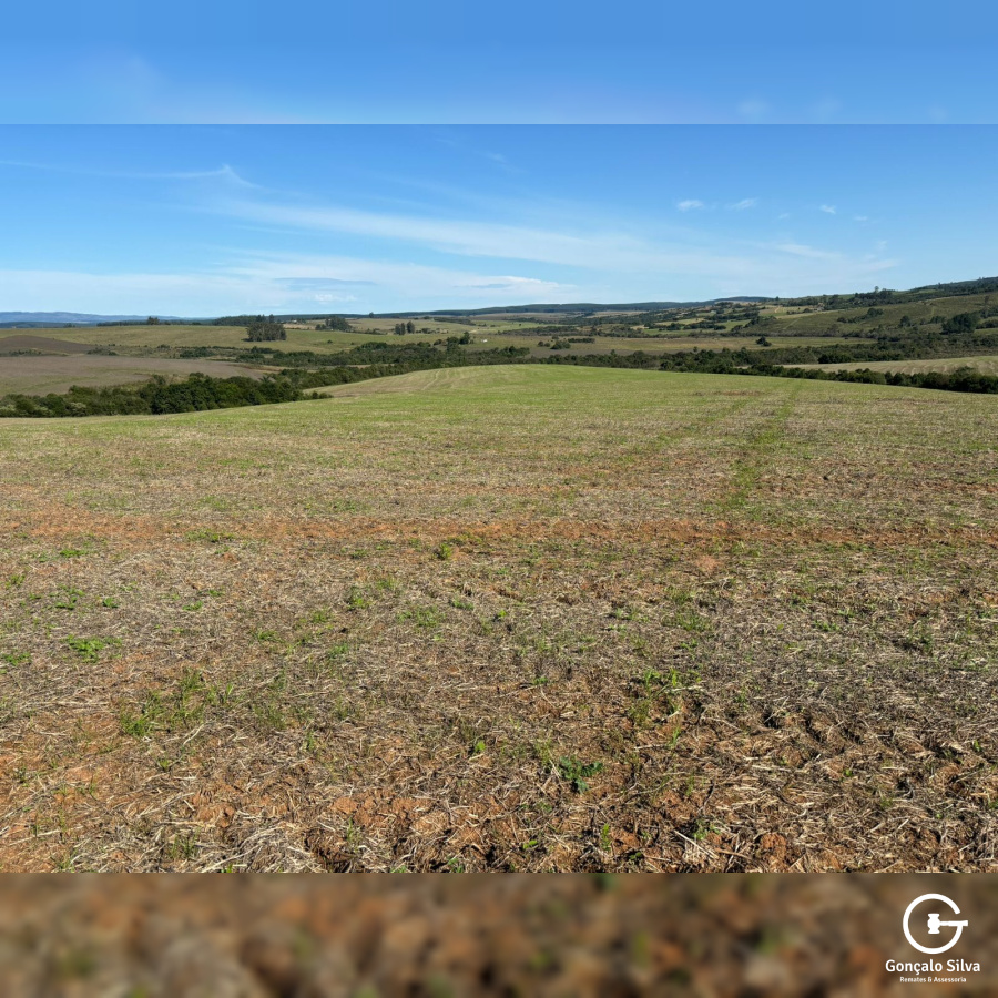 100 hectares em Butia/RS