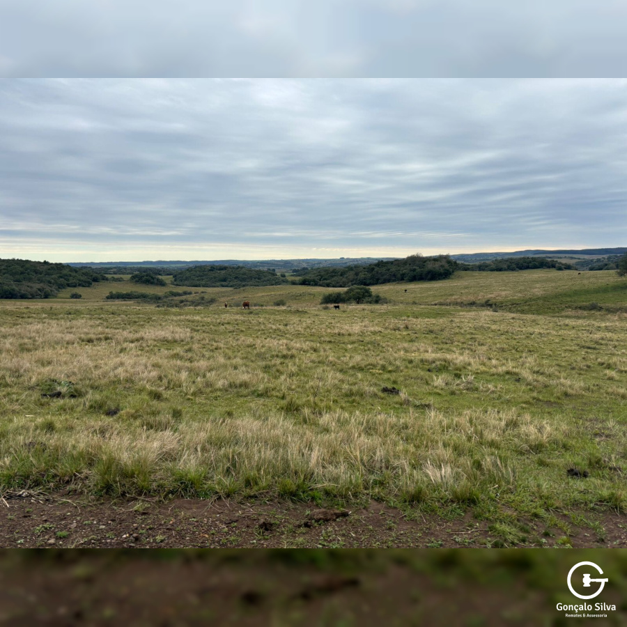 903 Hectares em Piratini/Rs